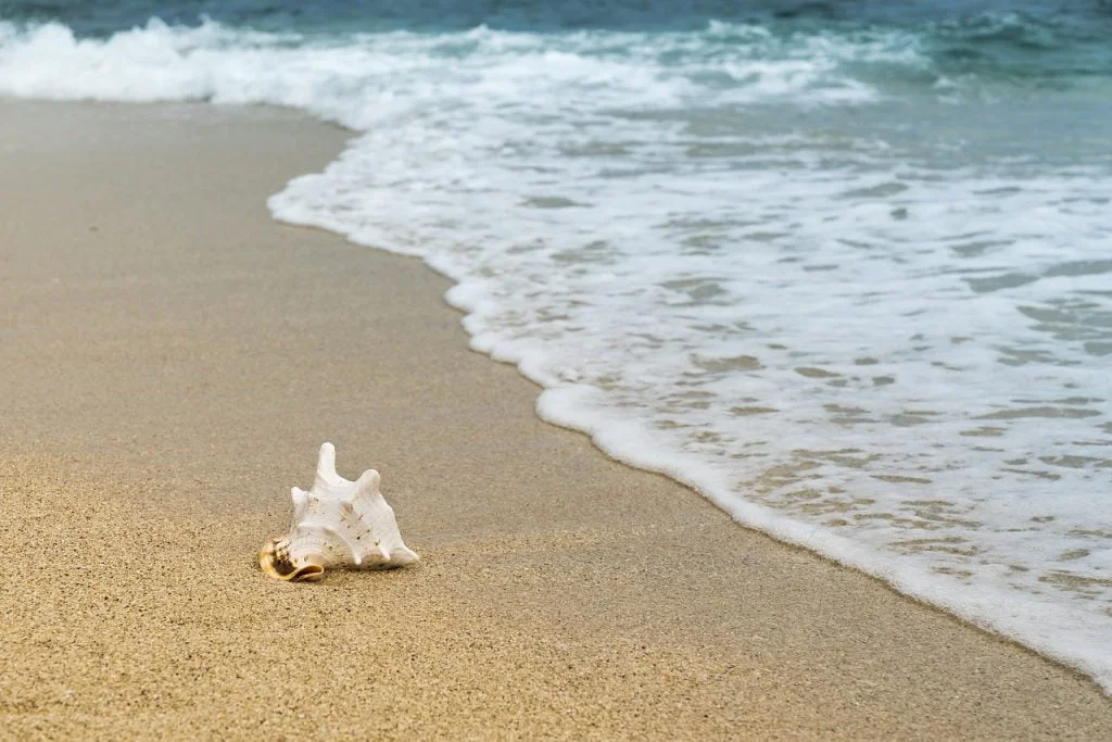 Plage