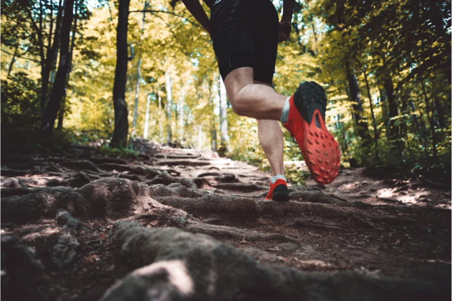 Lire la suite à propos de l’article Tout savoir sur le Trailwalker 2023 en Gironde