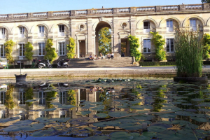 Lire la suite à propos de l’article Tout savoir sur l&rsquo;exposition dédiée à la découverte de la jungle indienne à Bordeaux