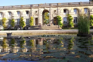 Lire la suite à propos de l’article Tout savoir sur l&rsquo;exposition dédiée à la découverte de la jungle indienne à Bordeaux