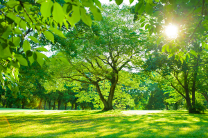 Lire la suite à propos de l’article Tous les espaces verts de Bordeaux resteront ouverts jusqu&rsquo;à 21h cet été
