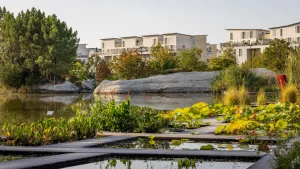 Lire la suite à propos de l’article Les 5 meilleurs spots où pique-niquer à Bordeaux